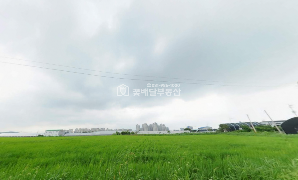 경기 김포시 고촌읍 태리 l꽃l배l달l부l동l산l자연녹지,그린벨트,투자,경작, 코너 도로접 매매 매물번호 10334 사진 1
