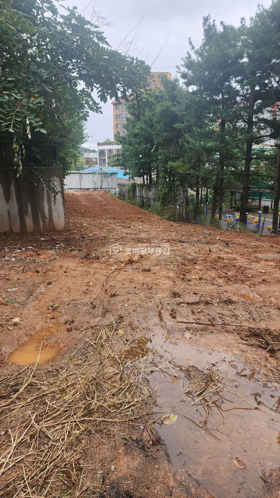 경기 김포시 고촌읍 신곡리 원룸,투룸,다가구,다세대주택부지 3층허가득,1종일반주거지역 매매 매물번호 10307 사진 5