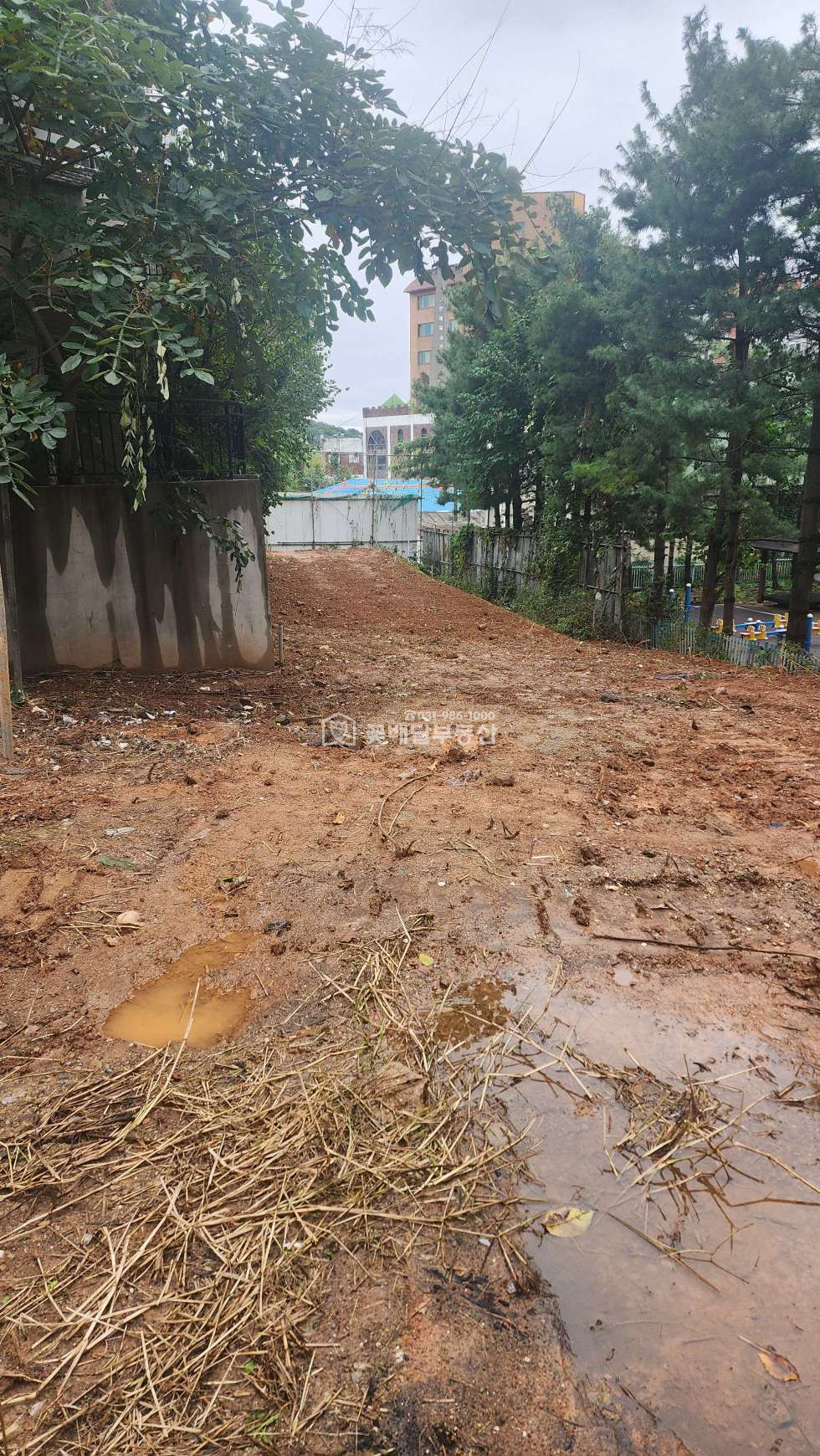 경기 김포시 고촌읍 신곡리 원룸,투룸,다가구,다세대주택부지 3층허가득,1종일반주거지역 매매 매물번호 10307 사진 6