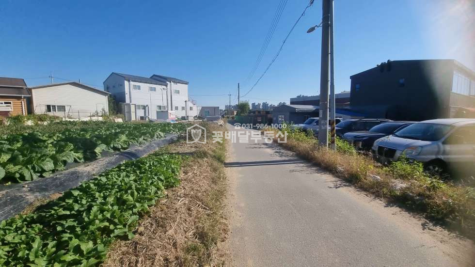 경기 김포시 걸포동 [김포고촌꽃배달부동산] 김포 토지 매매ㅣ229평ㅣ텃밭 단독주택 신축부지ㅣ건폐율20% / 용적률80%ㅣ 매매 매물번호 10065 사진 7