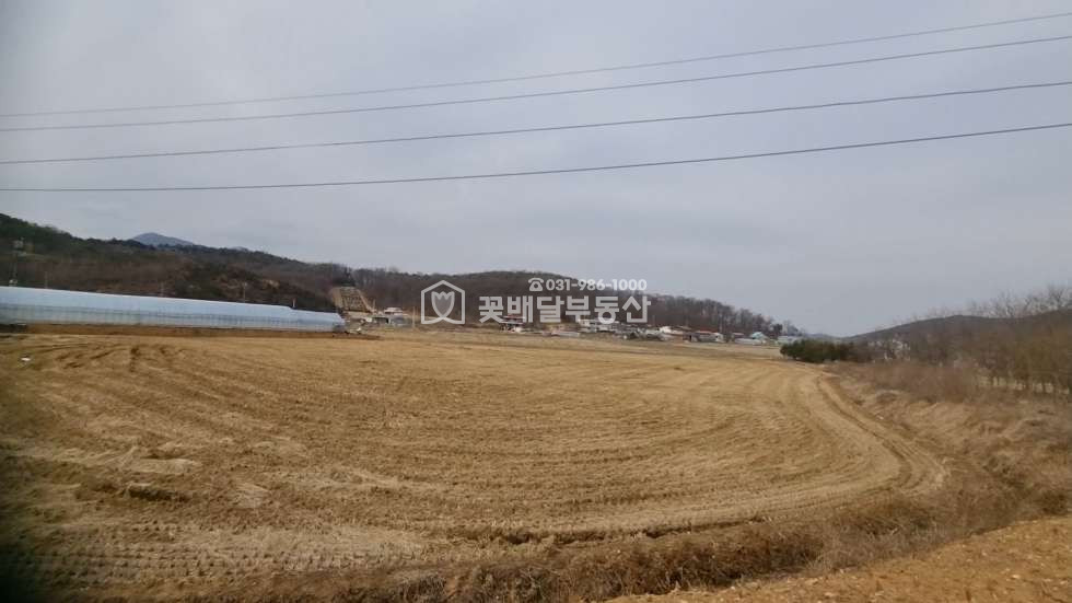 경기 김포시 월곶면 개곡리 [김포고촌꽃배달부동산] 급매,사옥,연구소,단독주택부지,조용한곳 매매 매물번호 10118 사진 2