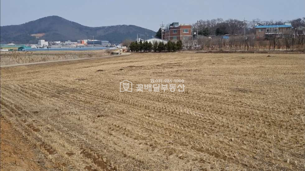경기 김포시 월곶면 개곡리 [김포고촌꽃배달부동산] 급매,사옥,연구소,단독주택부지,조용한곳 매매 매물번호 10118 사진 4