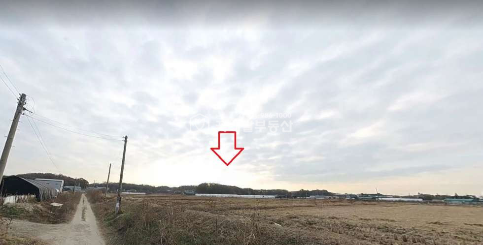 경기 김포시 고촌읍 향산리199-5 김포꽃배달부동산] 토지매매 투자용 급매물 대토할분 매매 매물번호 10296 사진 1