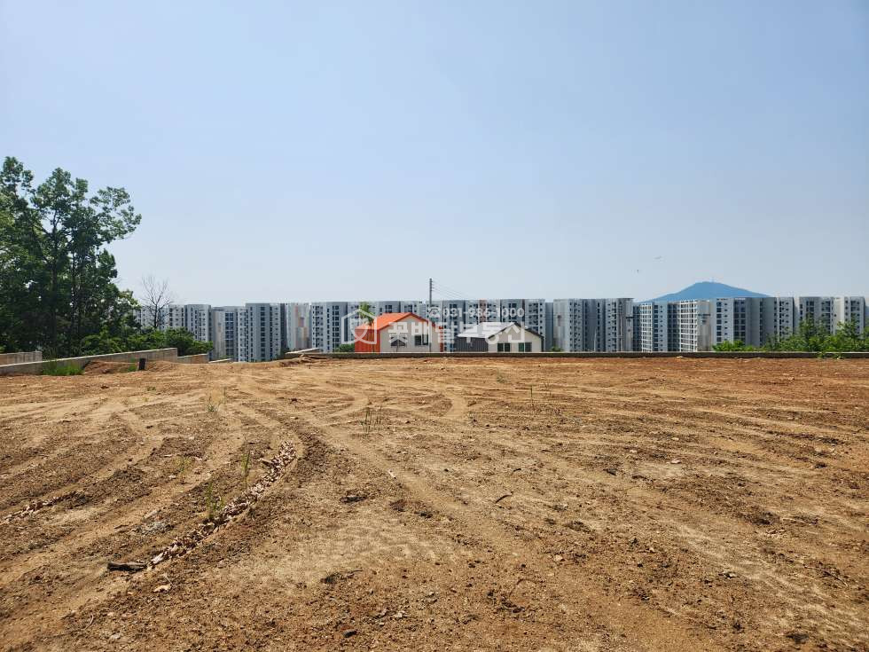 경기 김포시 고촌읍 신곡리 [김포꽃배달부동산] 약 548.7평 고촌읍 신곡리 보름산미술관 뒷편 진입로포함, 토목공사완료 매매 매물번호 10234 사진 3