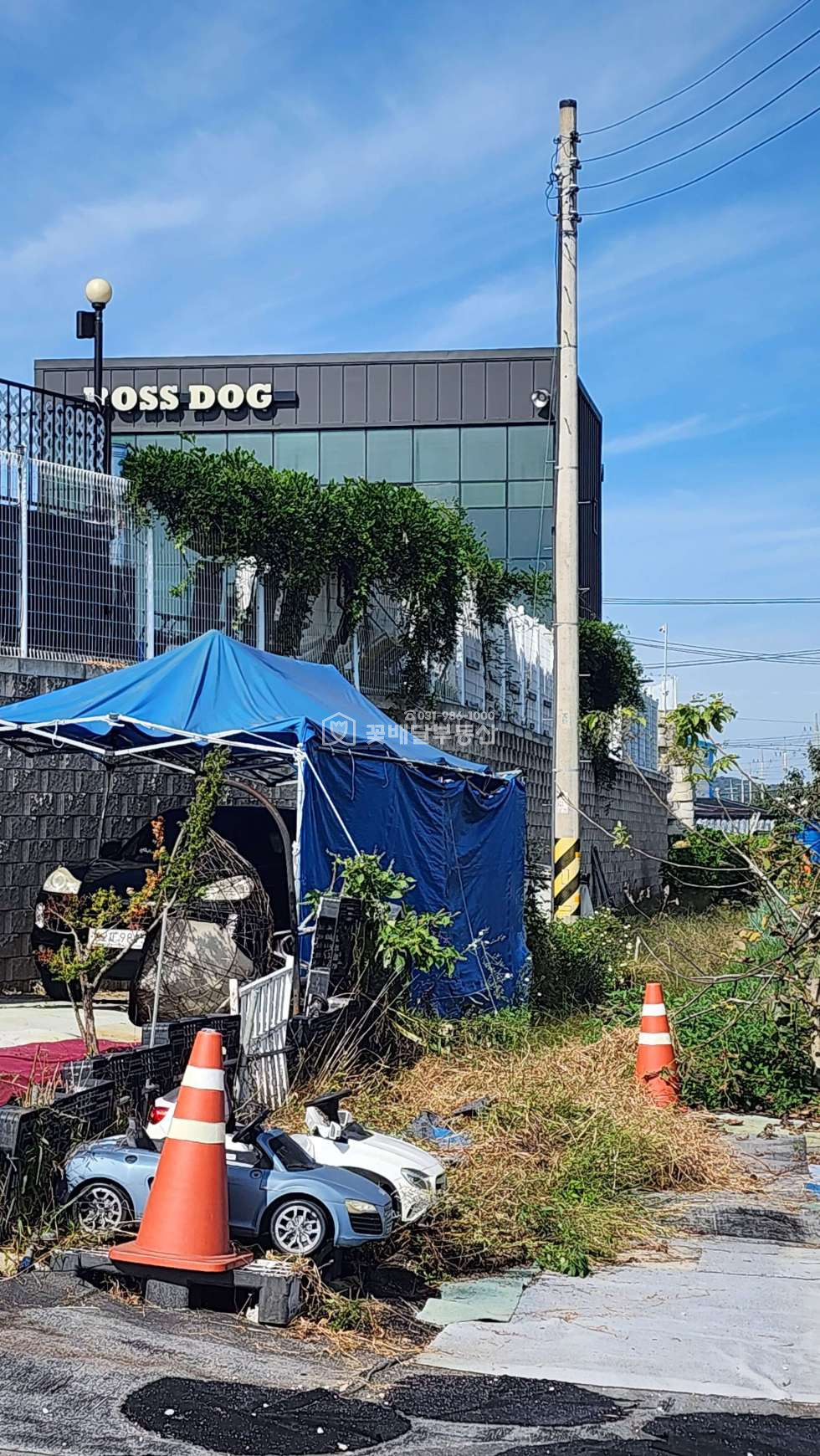 경기 김포시 통진읍 서암리 1동 [김포고촌꽃배달부동산] 김포부동산ㅣ애견훈련소ㅣ애견타운ㅣ수영장,훈련장,호텔,카페 등 운영하실분 시설좋아요 매매 매물번호 10125 사진 5
