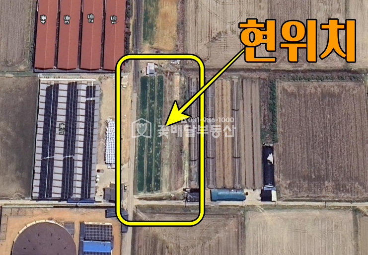 경기 김포시 양촌읍 누산리 [김포고촌꽃배달부동산] 김포토지매매, 급매, 식품공장, 대토, 투자하실 분, 코너,차량진입가능 매매 매물번호 10101 사진 1