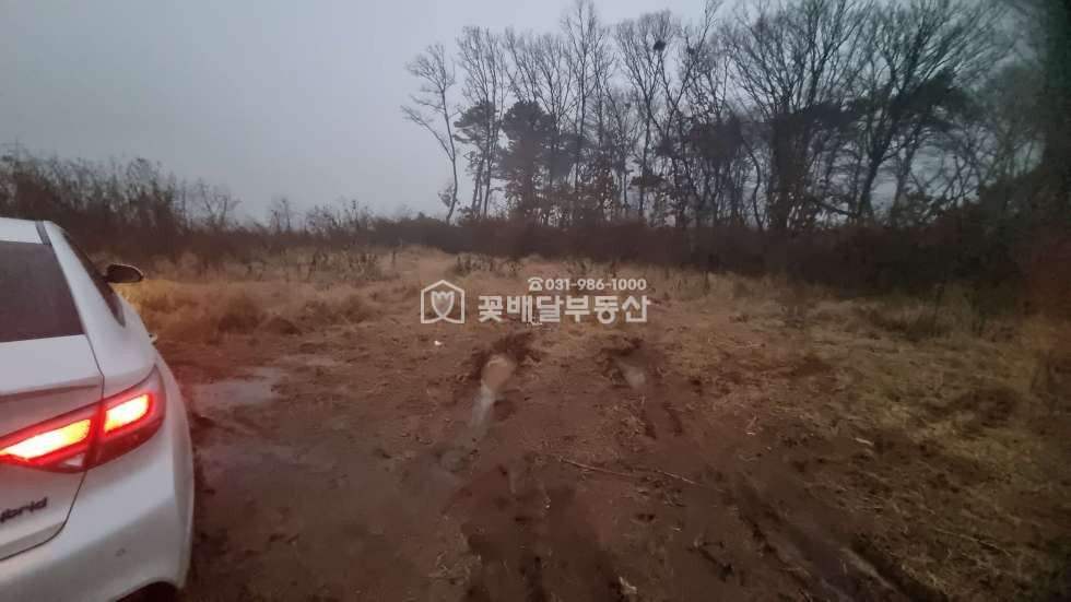 경기 김포시 고촌읍 태리 [김포고촌꽃배달부동산] 김포토지매매, 계획도로 바로 옆, 1종일반주거지역 바로 옆, 그린벨트, 자연녹지지역 매매 매물번호 10098 사진 2
