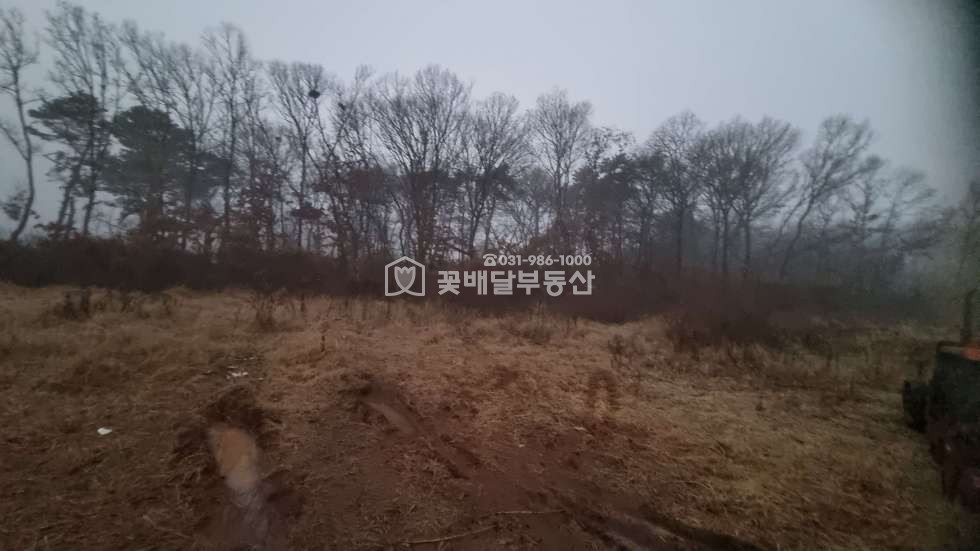경기 김포시 고촌읍 태리 [김포고촌꽃배달부동산] 김포토지매매, 계획도로 바로 옆, 1종일반주거지역 바로 옆, 그린벨트, 자연녹지지역 매매 매물번호 10098 사진 4