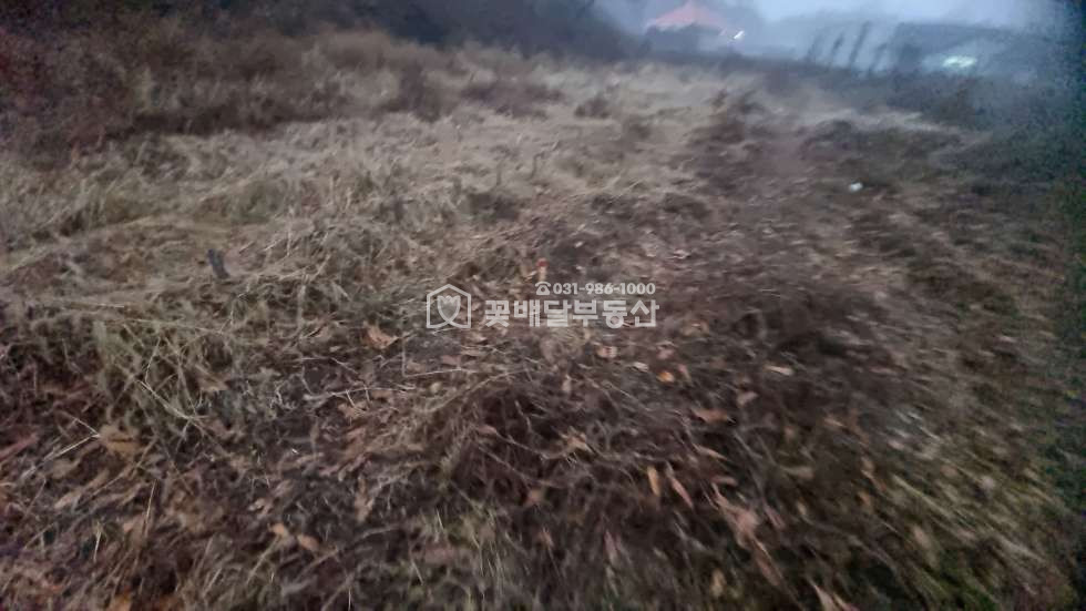 경기 김포시 고촌읍 태리 [김포고촌꽃배달부동산] 김포토지매매, 계획도로 바로 옆, 1종일반주거지역 바로 옆, 그린벨트, 자연녹지지역 매매 매물번호 10098 사진 6