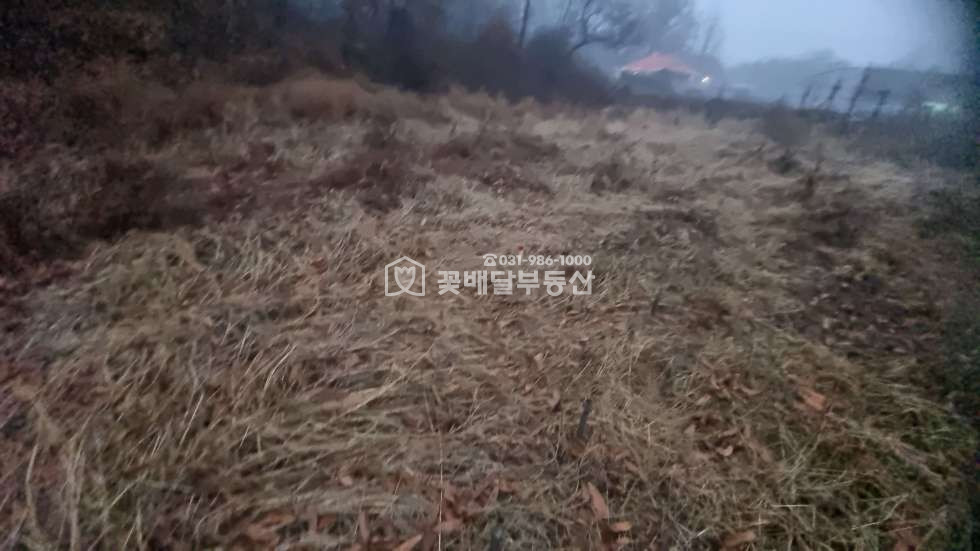 경기 김포시 고촌읍 태리 [김포고촌꽃배달부동산] 김포토지매매, 계획도로 바로 옆, 1종일반주거지역 바로 옆, 그린벨트, 자연녹지지역 매매 매물번호 10098 사진 7