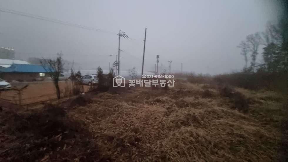 경기 김포시 고촌읍 태리 [김포고촌꽃배달부동산] 김포토지매매, 계획도로 바로 옆, 1종일반주거지역 바로 옆, 그린벨트, 자연녹지지역 매매 매물번호 10098 사진 8