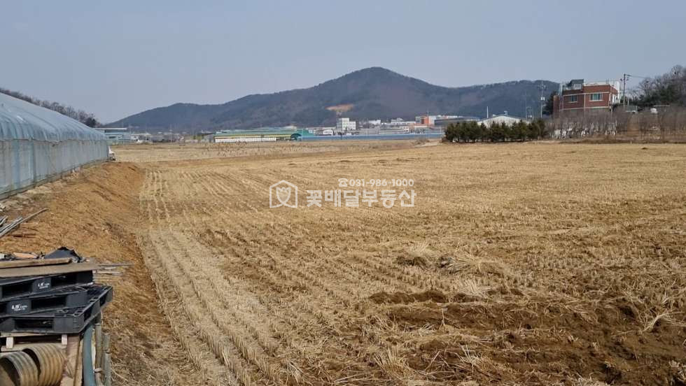 경기 김포시 월곶면 개곡리 [김포고촌꽃배달부동산] 김포토지매매ㅣ월곶면개곡리ㅣ1892평ㅣ급매ㅣ평당 65만원ㅣ사옥,요양원,단독주택단지 등 매매 매물번호 10032 사진 2