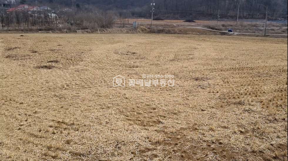 경기 김포시 월곶면 개곡리 [김포고촌꽃배달부동산] 김포토지매매ㅣ월곶면개곡리ㅣ1892평ㅣ급매ㅣ평당 65만원ㅣ사옥,요양원,단독주택단지 등 매매 매물번호 10032 사진 4