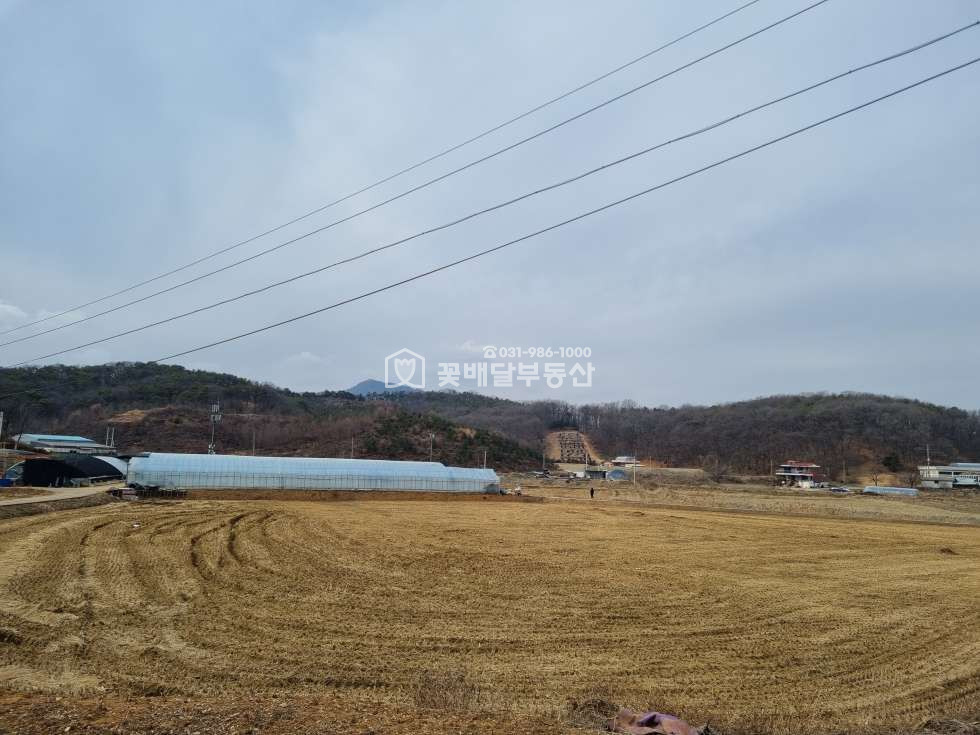 경기 김포시 월곶면 개곡리 [김포고촌꽃배달부동산] 김포토지매매ㅣ월곶면개곡리ㅣ1892평ㅣ급매ㅣ평당 65만원ㅣ사옥,요양원,단독주택단지 등 매매 매물번호 10032 사진 7