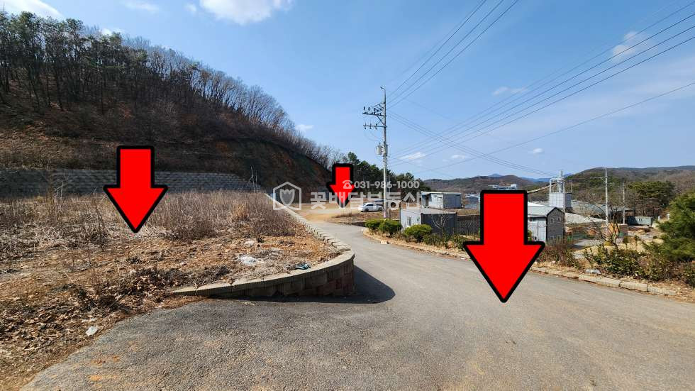 경기 김포시 월곶면 [김포고촌꽃배달부동산] 김포 반려견장례식장 수목장 허가증 포함 토지 2360평 매매ㅣ주변 민원정리 합의 완료ㅣ깔끔한 상태로 이전 매매 매물번호 10039 사진 2