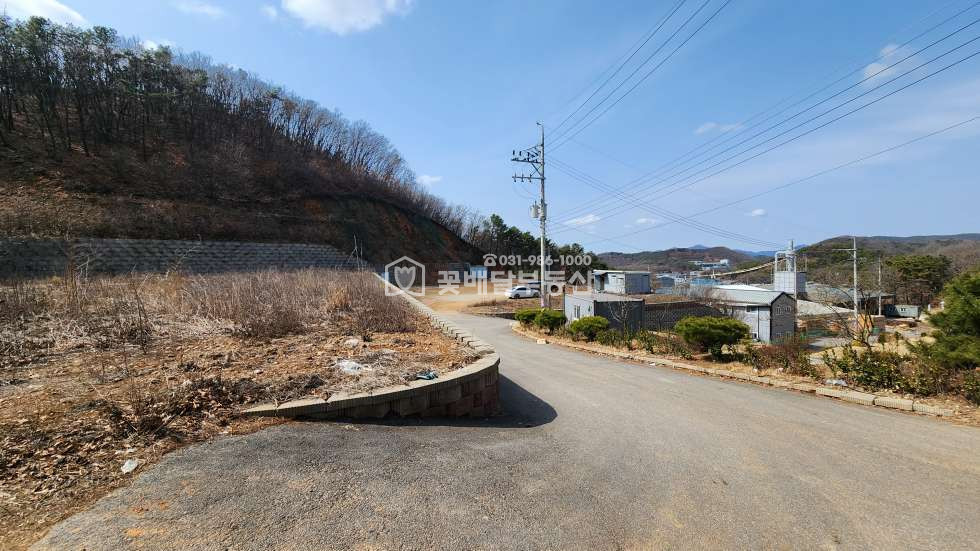 경기 김포시 월곶면 [김포고촌꽃배달부동산] 김포 반려견장례식장 수목장 허가증 포함 토지 2360평 매매ㅣ주변 민원정리 합의 완료ㅣ깔끔한 상태로 이전 매매 매물번호 10039 사진 8