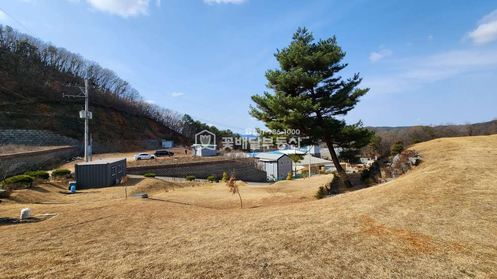 경기 김포시 월곶면 [김포고촌꽃배달부동산] 김포 반려견장례식장 수목장 허가증 포함 토지 2360평 매매ㅣ주변 민원정리 합의 완료ㅣ깔끔한 상태로 이전 매매 매물번호 10039 사진 11