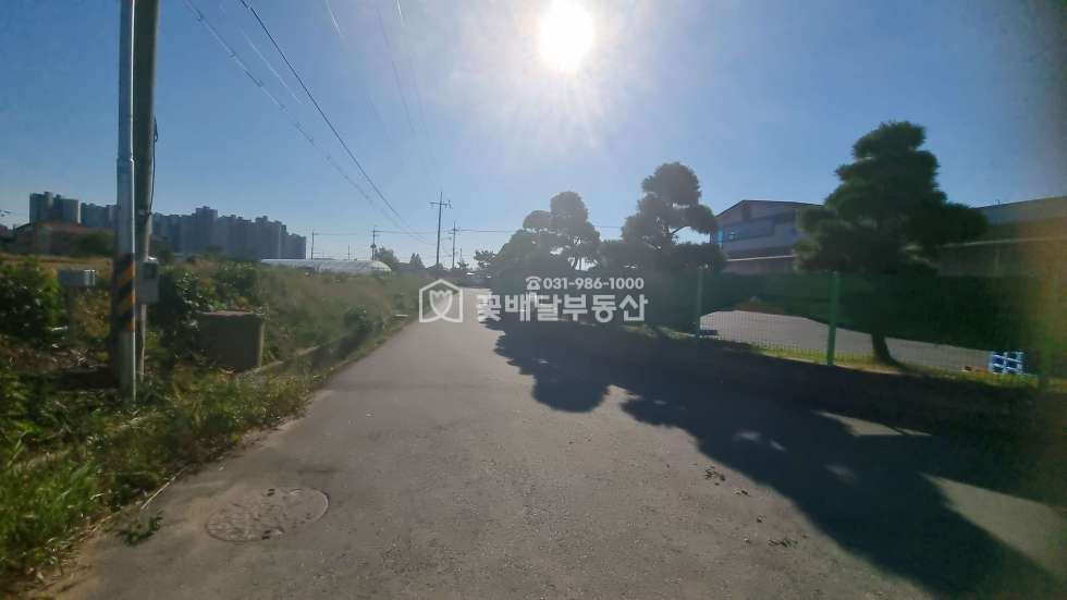 경기 김포시 걸포동 주건축물제1동 [김포고촌꽃배달부동산] 김포 걸포동 단독주택 ㅣ넓은 대지와 편리한 교통ㅣ좋은입지 매매 매물번호 10072 사진 3