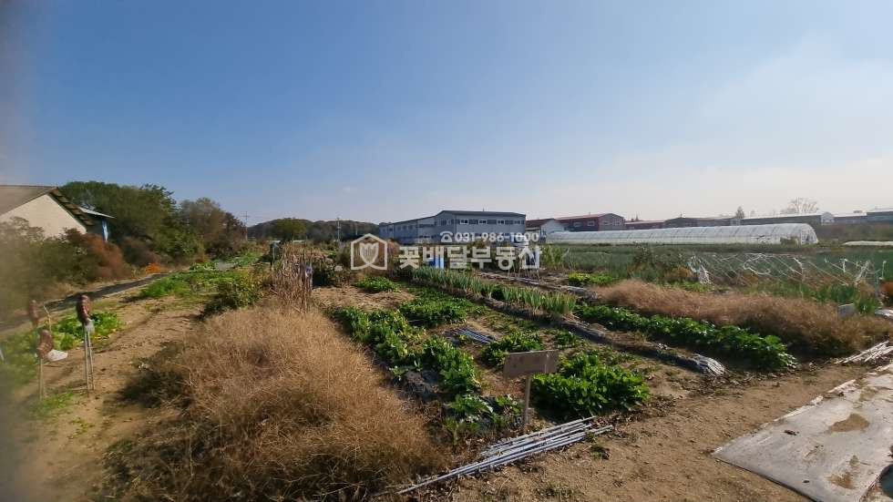 경기 김포시 고촌읍 향산리 [김포고촌꽃배달부동산] 개발예정지ㅣ식품공장창고ㅣ농림지역ㅣ보상받을토지 매매 매물번호 10135 사진 6
