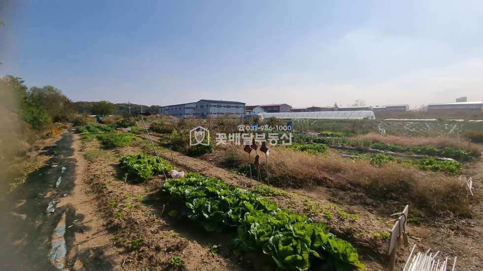 경기 김포시 고촌읍 향산리 [김포고촌꽃배달부동산] 개발예정지ㅣ식품공장창고ㅣ농림지역ㅣ보상받을토지 매매 매물번호 10135 사진 8