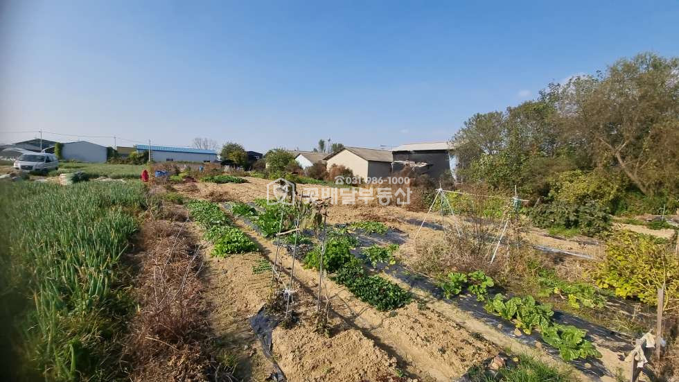 경기 김포시 고촌읍 향산리 [김포고촌꽃배달부동산] 개발예정지ㅣ식품공장창고ㅣ농림지역ㅣ보상받을토지 매매 매물번호 10135 사진 11