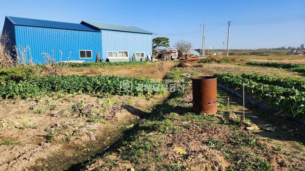 경기 김포시 통진읍 도사리 [김포꽃배달부동산] 서통진IC1.5km 전원주택,공장,창고 투자추천 매매 매물번호 10169 사진 7