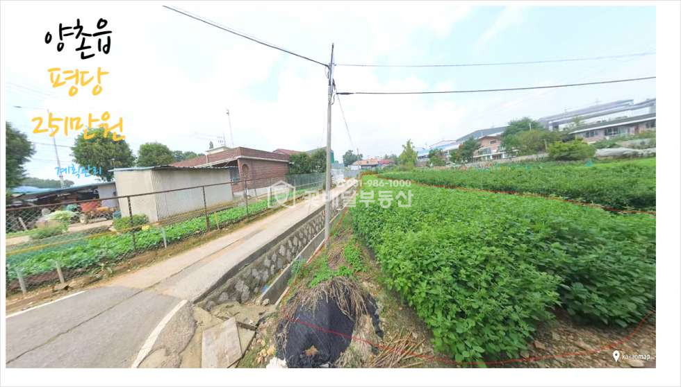 경기 김포시 양촌읍 흥신리 [김포고촌꽃배달부동산] 김포부동산매매ㅣ김포토지매매ㅣ계획관리토지ㅣ큰도로에서 가까운 계획관리토지 좋은입지 매매 매물번호 10083 사진 5