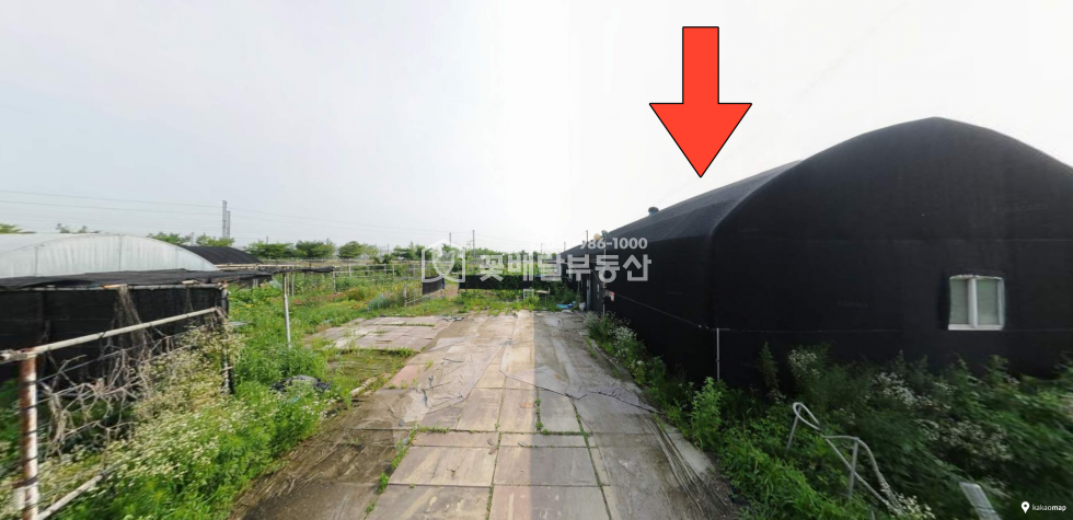 서울 강서구 개화동 [김포꽃배달부동산] 9호선 종점 개화역 차량기지 옆 자연녹지 토지매매, 평수340평 하우스 100평, 화장실, 수도, 전기 있음 매매 매물번호 10218 사진 2