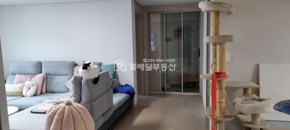 경기 김포시 고촌읍 신곡리 102동 [김포꽃배달부동산] 25년 6월 입주 협의, 신축 양우내안애 아파트 남향 고층 해잘들고 좋은층 매물 매매 매물번호 10259 사진 5