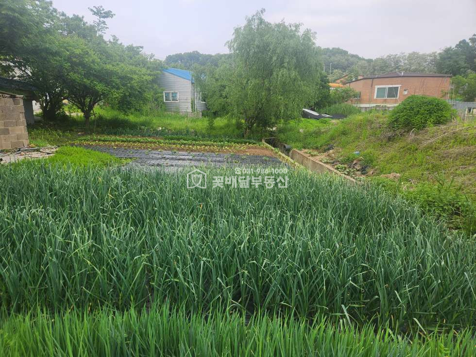 경기 김포시 고촌읍 신곡리 [김포꽃배달부동산] 나대지, 구축있음, 철거조건 매매 매물번호 10277 사진 6