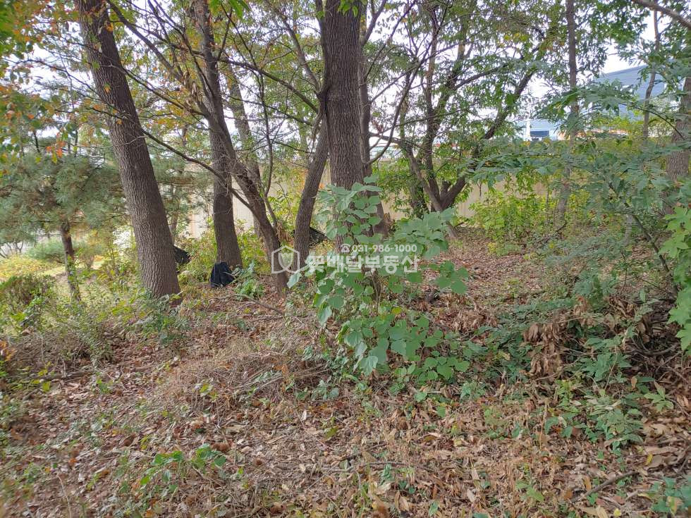 경기 김포시 통진읍 귀전리 [김포고촌꽃배달부동산] 급매 계획관리지역 귀전리 토지매매ㅣ공장창고신축부지ㅣ계획관리지역 매매 매물번호 10024 사진 4
